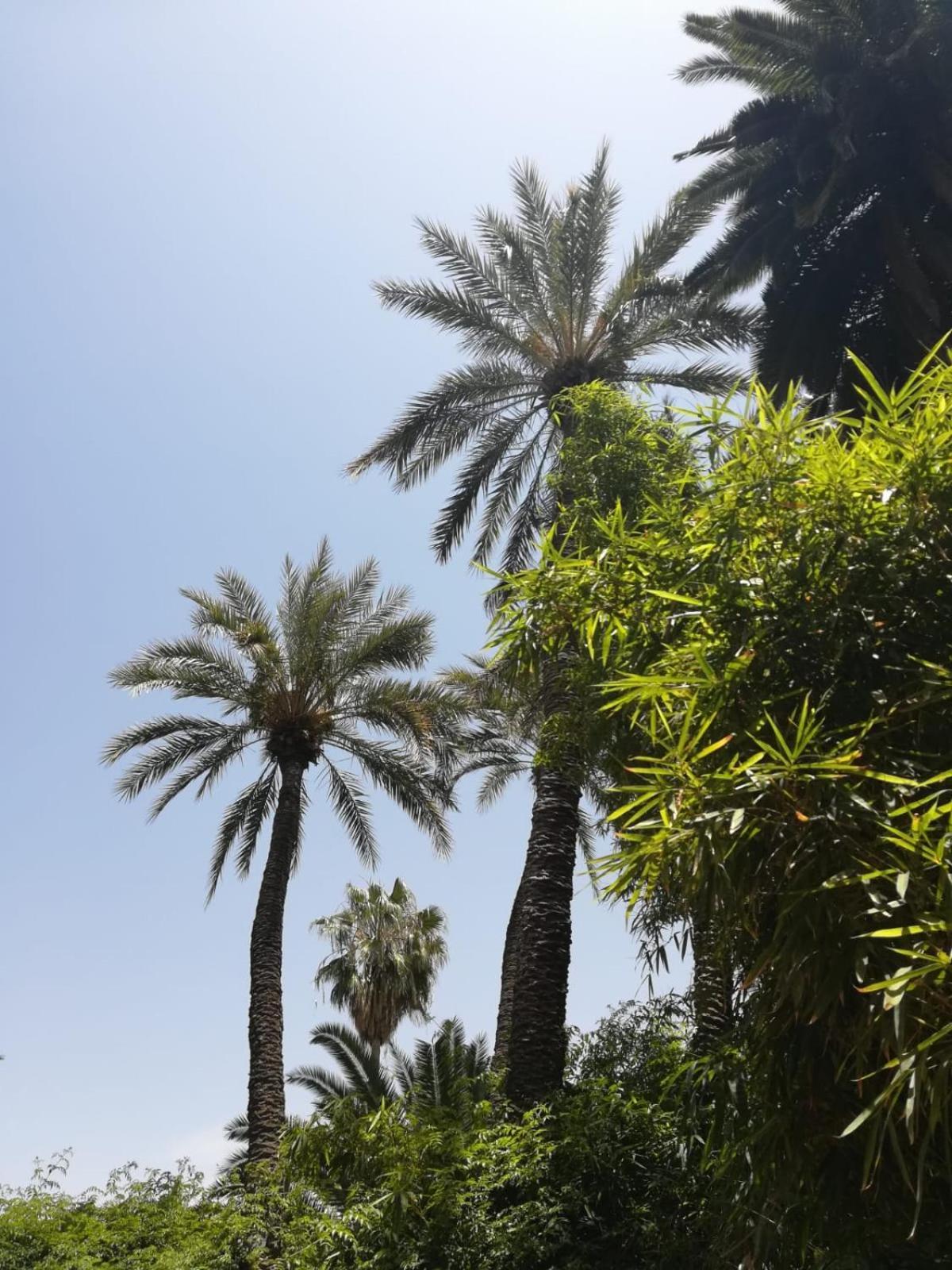 Riad Lalla Aicha-Qariya Siyahia Marrakech Marrakesh Buitenkant foto